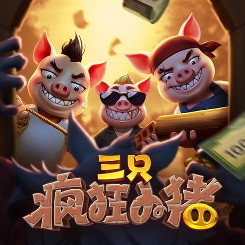 三只疯狂小猪