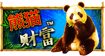 PP电子熊猫财富